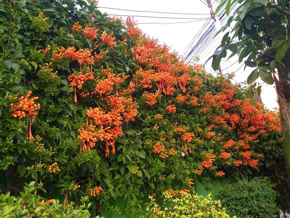 Baan Bua Homestay Chiang Rai Esterno foto